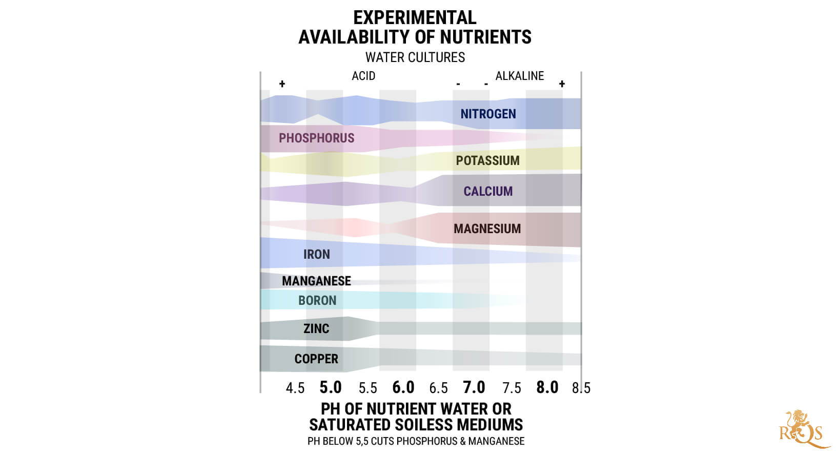 Understanding pH and How It Affects Cannabis Plants RQS Blog